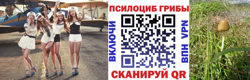 Галлюциногенные грибы мухоморы  Тихвин 