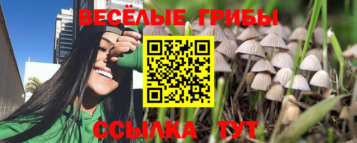 Псилоцибиновые грибы ЛСД Тихвин